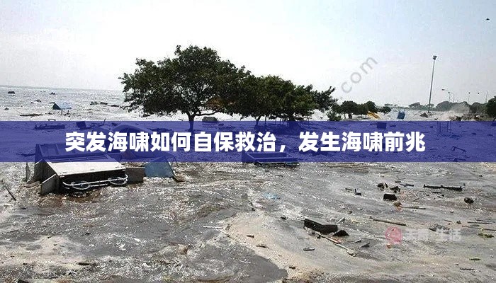突发海啸如何自保救治，发生海啸前兆 