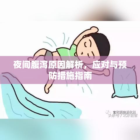 夜间腹泻原因解析，应对与预防措施指南