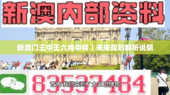新澳门王中王六肖中特｜未来规划解析说明