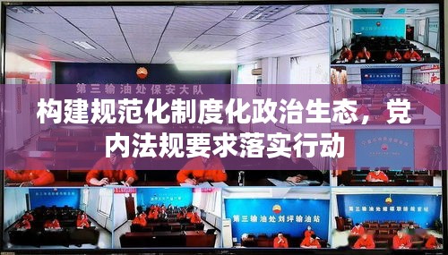 构建规范化制度化政治生态，党内法规要求落实行动