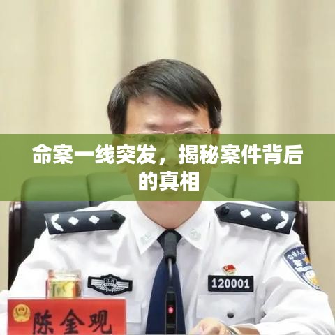 命案一线突发，揭秘案件背后的真相