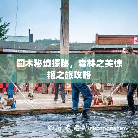 圆木秘境探秘，森林之美惊艳之旅攻略