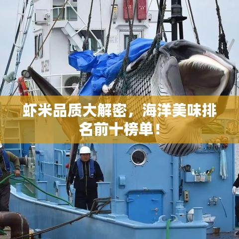 虾米品质大解密，海洋美味排名前十榜单！