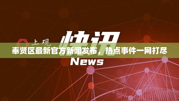 奉贤区最新官方新闻发布，热点事件一网打尽