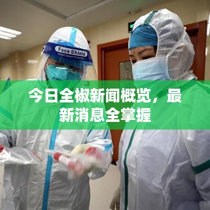 今日全椒新闻概览，最新消息全掌握