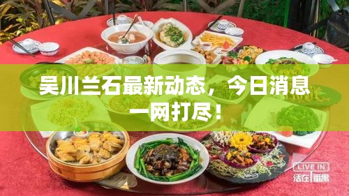 吴川兰石最新动态，今日消息一网打尽！