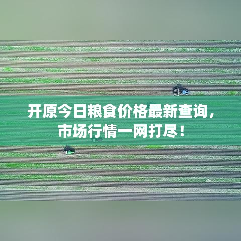 开原今日粮食价格最新查询，市场行情一网打尽！