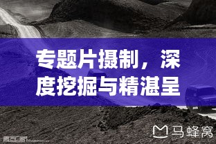 专题片摄制，深度挖掘与精湛呈现的艺术探索之旅