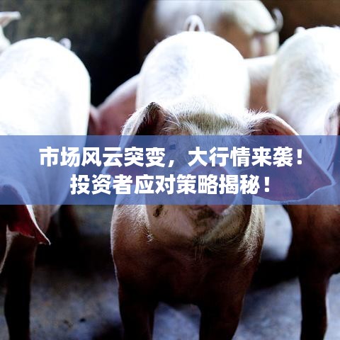 市场风云突变，大行情来袭！投资者应对策略揭秘！