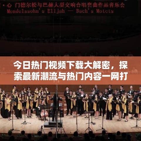 今日热门视频下载大解密，探索最新潮流与热门内容一网打尽