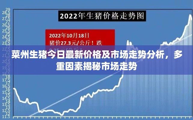 菜州生猪今日最新价格及市场走势分析，多重因素揭秘市场走势