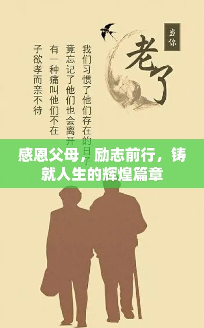 感恩父母，励志前行，铸就人生的辉煌篇章