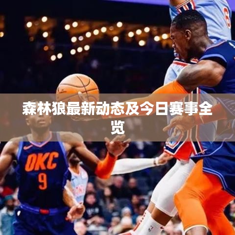 森林狼最新动态及今日赛事全览