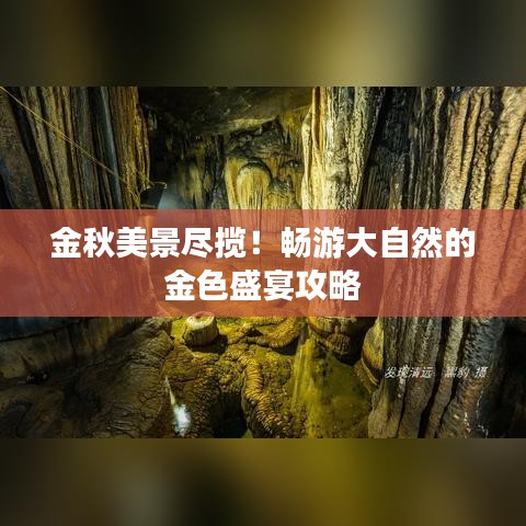 金秋美景尽揽！畅游大自然的金色盛宴攻略
