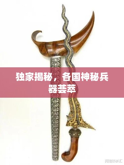 独家揭秘，各国神秘兵器荟萃