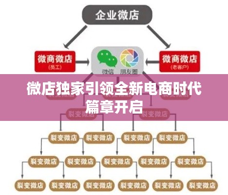 微店独家引领全新电商时代篇章开启