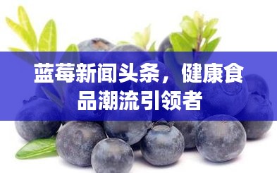 蓝莓新闻头条，健康食品潮流引领者