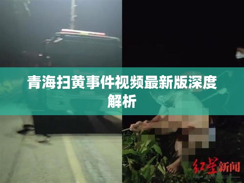 青海扫黄事件视频最新版深度解析
