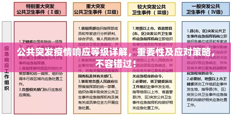 公共突发疫情响应等级详解，重要性及应对策略，不容错过！