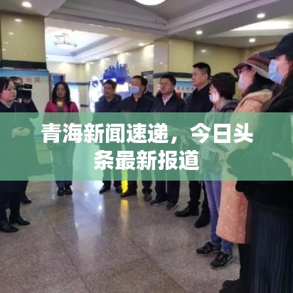 青海新闻速递，今日头条最新报道