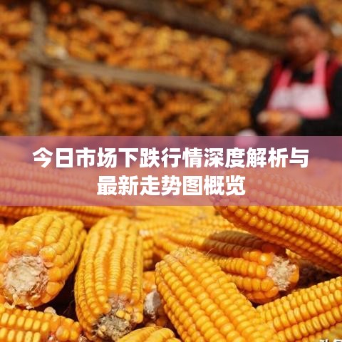 今日市场下跌行情深度解析与最新走势图概览