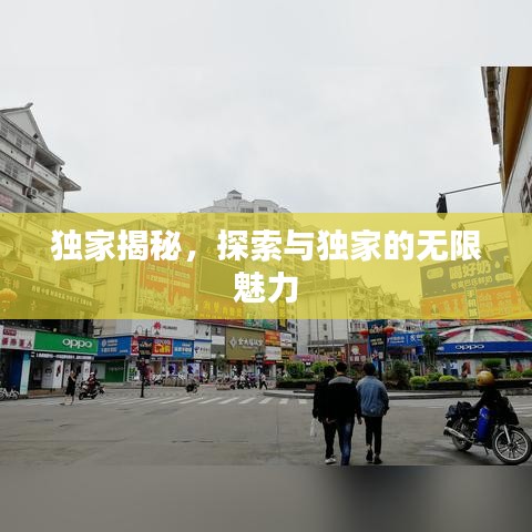 独家揭秘，探索与独家的无限魅力