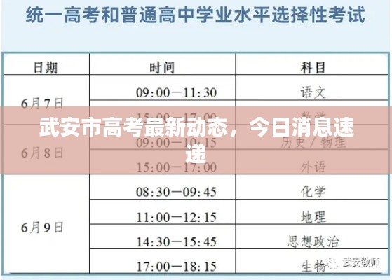 武安市高考最新动态，今日消息速递