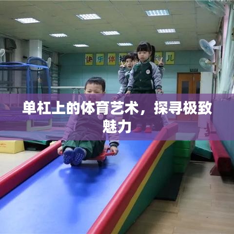 单杠上的体育艺术，探寻极致魅力