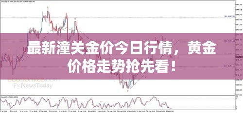 最新潼关金价今日行情，黄金价格走势抢先看！