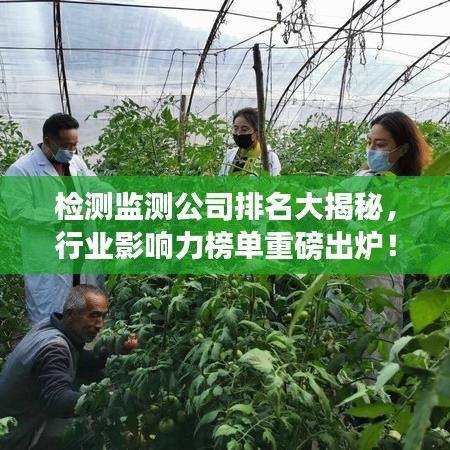检测监测公司排名大揭秘，行业影响力榜单重磅出炉！