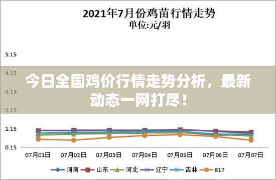 今日全国鸡价行情走势分析，最新动态一网打尽！