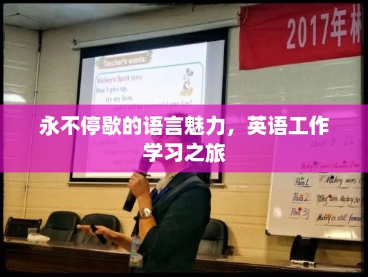 永不停歇的语言魅力，英语工作学习之旅