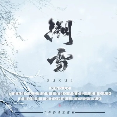 溯雪官方下载,涵盖广泛的解析方法_DX版_v1.298