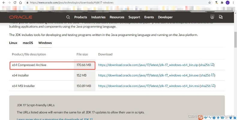 c 6.0官方下载,经济性执行方案剖析&Holo_v4.338