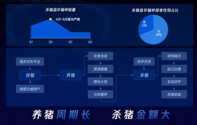 网络安全顾问眼中的安全软件——假猪套90版本,深度策略应用数据尊享版_v8.611深度解析