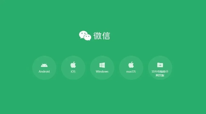 老版本微信app,安全设计解析策略-soft_v1.177