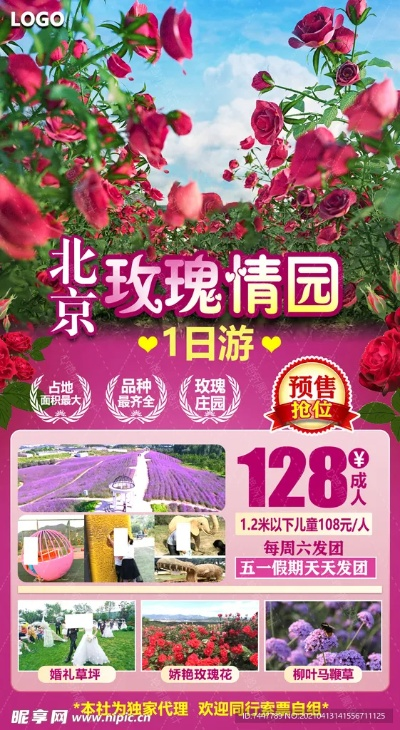 玫瑰庄园下载官方,可靠计划执行策略-Elite_v3.875