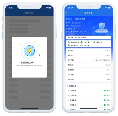 绝世倾城激活码跟修复爱思助手官方下载,全面实施策略数据_SHD_v2.867