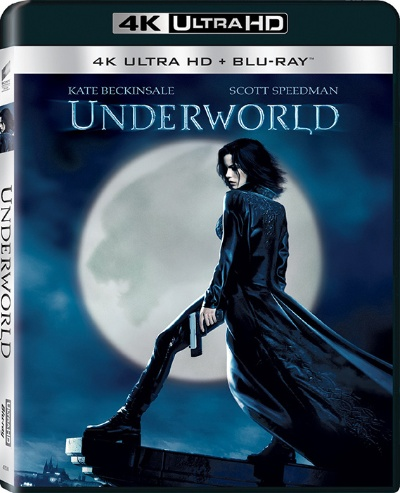 黑夜传说的激活码和速达3000单机版好吗,仿真技术实现 网页款_v5.735