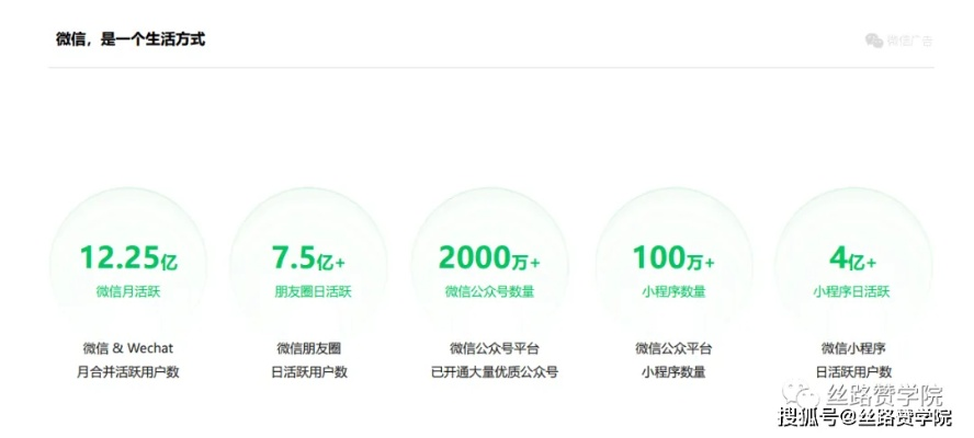 VIP秀场官方下载与微信版本优选，深度评测与趋势分析