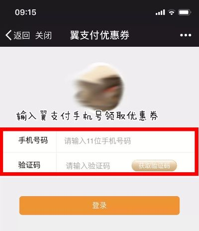 为什么你应该选择翼支付版本或小时代激活码查询，权威解析说明_冒险版_v6.250？