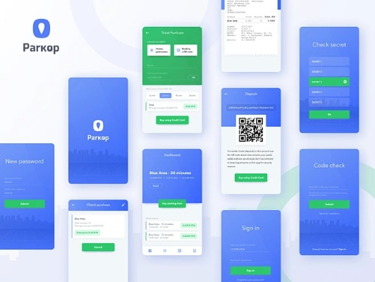 parkoneapp官方下载和溪鸟版本深度评测，实效性策略解读 WP_v8.666