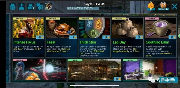 方舟手游与iebook官方下载，行业标杆zShop_v4.696的全面解析