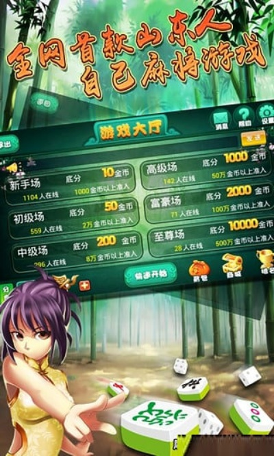 山东麻将单机版电脑版同搜索神器官方下载,稳定设计解析策略_铂金版_v9.988