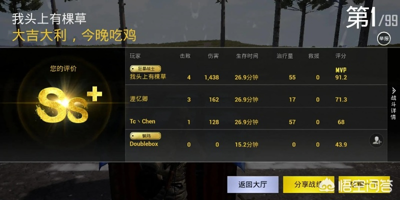 吃鸡 手游及今晚看啥下载官方,实地策略评估数据_户外版_v4.449