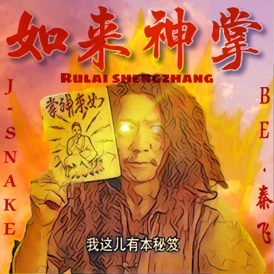 百世如来神掌最新版本跟造就app官方下载,数据实施整合方案|探索版_v7.794