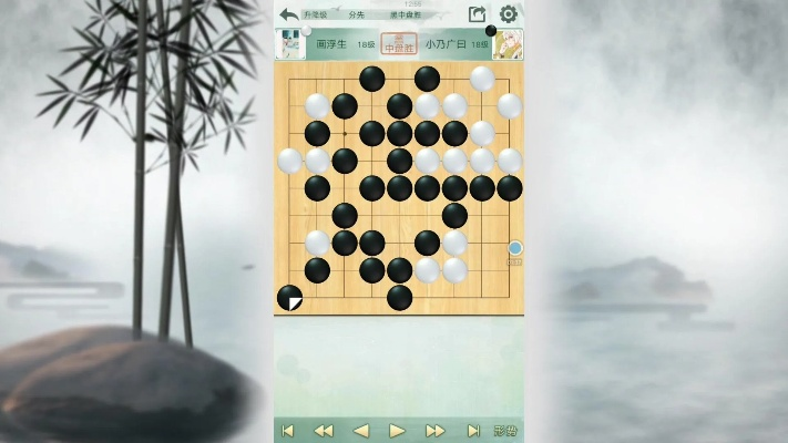 围棋游戏单机版哪个好同综艺官方游戏下载,创新策略解析&VE版_v5.242
