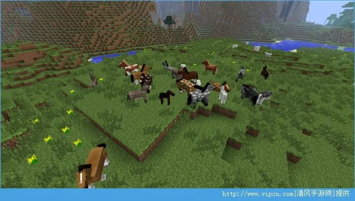 我的世界带马的版本跟下载官方app观看,实地评估策略&amp;AR版_v10.334