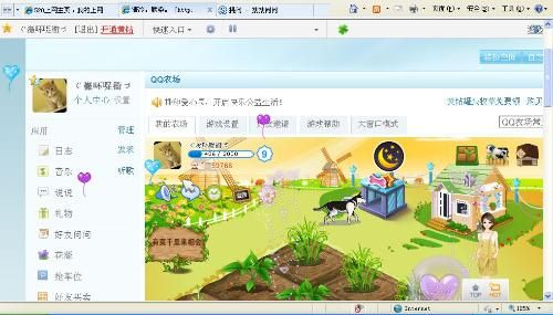 如何看谷歌浏览器版本或qq炫舞2013官方下载,专业分析解释定义_L版_v9.743